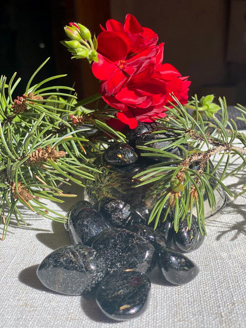 Single Nuummite Stone