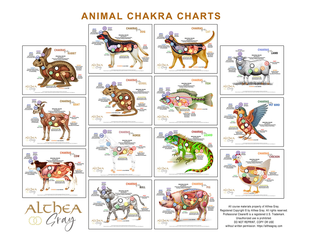 Complete Set of 14 Animal Chakra Charts (Special)